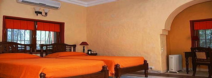 2493/The Banyan Farm - New Delhi 04.jpg